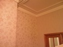 Painter &amp; Decorator in Mansfield