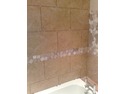 Tiler, Bathroom Fitter, Plumber in Southend On Sea
