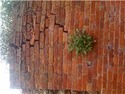 repair a 100-200 year old high garden brick wall