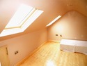Handyman, Plumber, Roofer in Hamilton