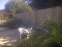 Groundworker, Fencer, Demolition Contractor in Barwell