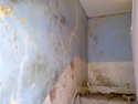 Plasterer, Restoration &amp; Refurb Specialist, Painter &amp; Decorator in Glasgow