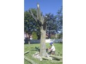 Tree Surgeon, Fencer, Landscape Gardener in Tamworth