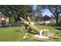 Tree Surgeon, Fencer, Landscape Gardener in Tamworth