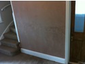 Damp Proofing Specialist, Plasterer, Stonemason in Bristol
