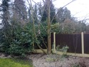 Landscape Gardener, Tree Surgeon, Handyman in Hornchurch