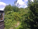 Landscape Gardener, Tree Surgeon, Handyman in Hornchurch