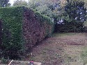 Landscape Gardener, Tree Surgeon, Handyman in Hornchurch