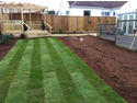 Landscape Gardener, Tree Surgeon, Groundworker in Teignmouth