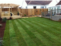 Landscape Gardener, Tree Surgeon, Groundworker in Teignmouth
