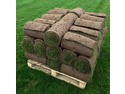 Landscape Gardener, Tree Surgeon, Groundworker in Teignmouth