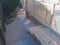 Landscape Gardener, Bricklayer, Painter &amp; Decorator in Dundee