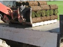 Landscape Gardener, Tree Surgeon, Groundworker in Teignmouth