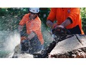 Landscape Gardener, Tree Surgeon, Groundworker in Teignmouth
