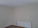 Roofer, Plasterer, Bricklayer in Wishaw