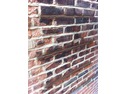 Damp Proofing Specialist in Colchester