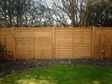 Landscape Gardener, Fencer, Driveway Paver in St George