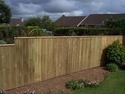 Landscape Gardener, Fencer, Driveway Paver in St George