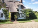 Landscape Gardener, Driveway Paver, Tree Surgeon in Southampton