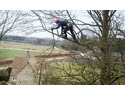 Tree Surgeon in Evesham