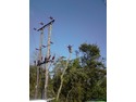 Tree Surgeon in Evesham