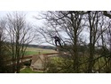 Tree Surgeon in Evesham
