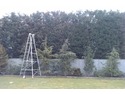 Tree Surgeon in Evesham