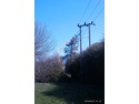 Tree Surgeon in Evesham