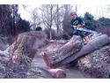 Tree Surgeon in Evesham