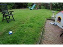 Trim Very large connifers x 2. Trim bushes, remove shed