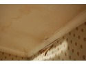 Repair water damaged ceiling