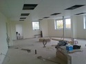 Painter &amp; Decorator, Handyman, Landscape Gardener in Upper Edmonton