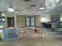 Painter &amp; Decorator, Handyman, Landscape Gardener in Upper Edmonton
