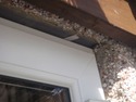 Trim needs finishing on French Doors