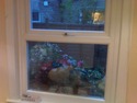 SOFA THROUGH WINDOW