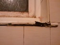Interior window sill and frame needs replacing
