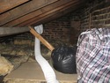 Loft DustProofing / Boarding / ladder