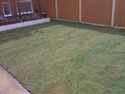 Groundworker, Fencer, Landscape Gardener in Derby