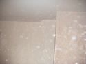Plasterer, Insulation Installer, Loft Conversion Specialist in Evesham