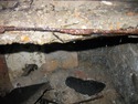 Fix external step