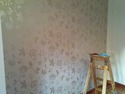 Painter &amp; Decorator, Restoration &amp; Refurb Specialist, Security System Installer in Larkhall