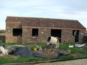 Bricklayer, Driveway Paver, Demolition Contractor in Bristol