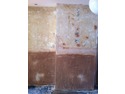 Damp Proofing Specialist in Colchester