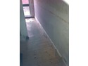 Damp Proofing Specialist in Colchester