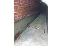Damp Proofing Specialist in Colchester