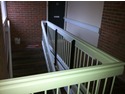 Painter &amp; Decorator in Poole