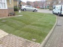 Landscape Gardener, Fencer, Driveway Paver in Ramsgate