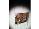 Restoration &amp; Refurb Specialist, Heating Engineer, Conversion Specialist in London