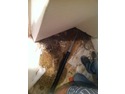 Restoration &amp; Refurb Specialist, Heating Engineer, Conversion Specialist in London