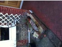Rebuild small wall near front of house